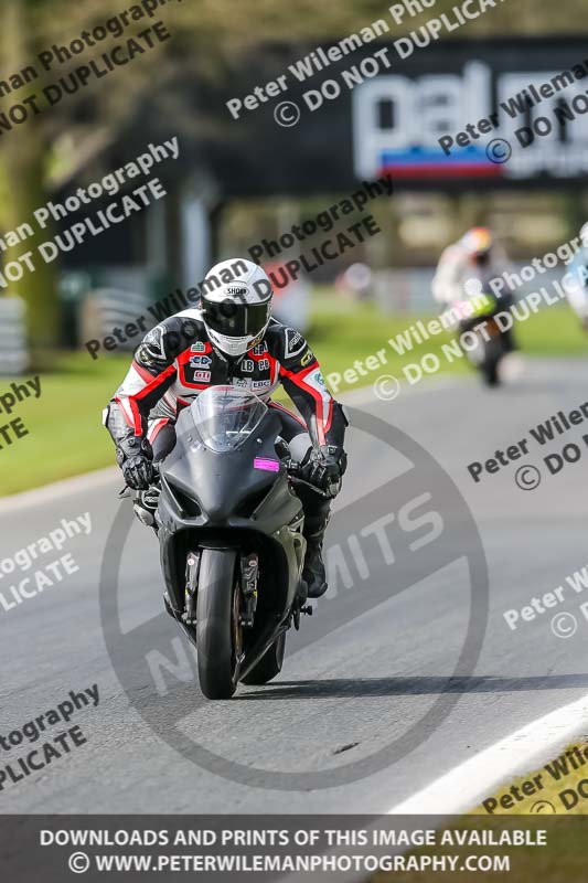 Oulton Park 21st March 2020;PJ Motorsport Photography 2020;anglesey;brands hatch;cadwell park;croft;donington park;enduro digital images;event digital images;eventdigitalimages;mallory;no limits;oulton park;peter wileman photography;racing digital images;silverstone;snetterton;trackday digital images;trackday photos;vmcc banbury run;welsh 2 day enduro
